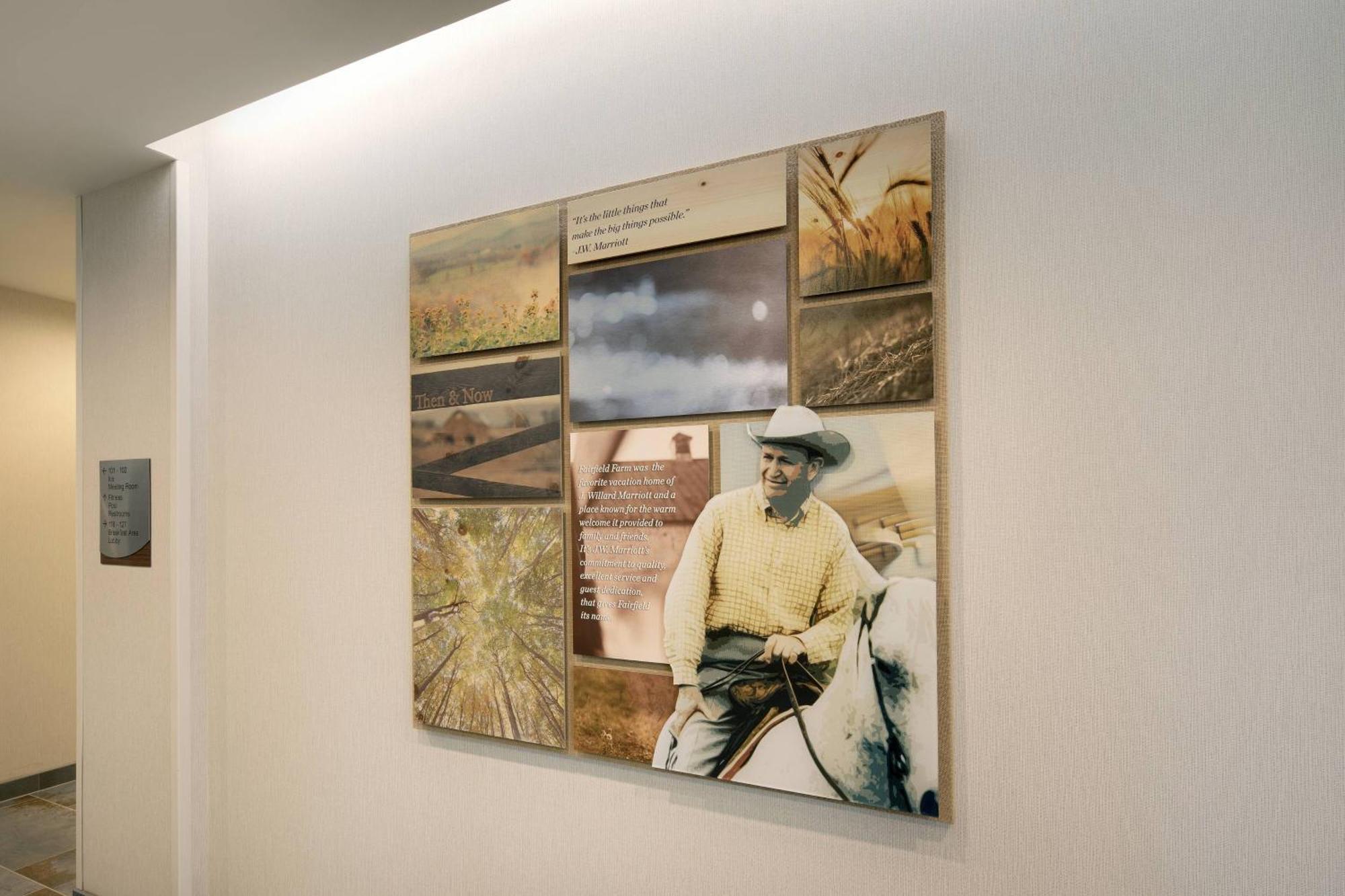 Fairfield Inn & Suites By Marriott Tampa ווסלי צ'אפל מראה חיצוני תמונה